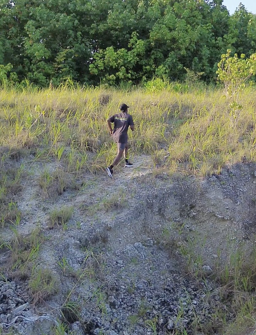 OCR Training